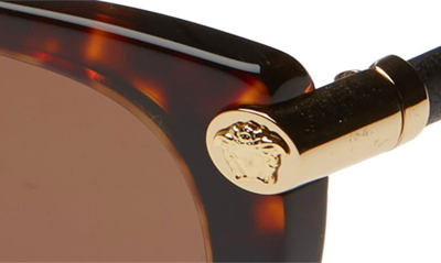 Shop Versace 55mm Cat Eye Sunglasses In Havana Solid