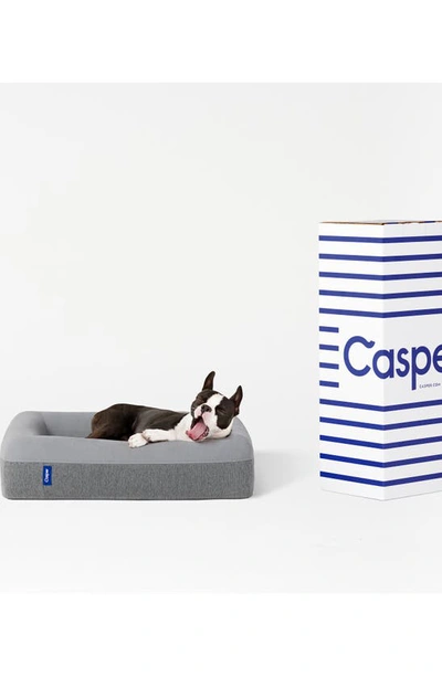 Shop Casper Dog Bed In Grey
