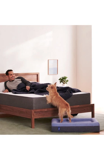 Casper Dog Bed In Blue