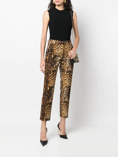 Shop Roberto Cavalli Cropped Leopard Print Trousers In Brown