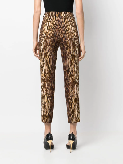 Shop Roberto Cavalli Cropped Leopard Print Trousers In Brown
