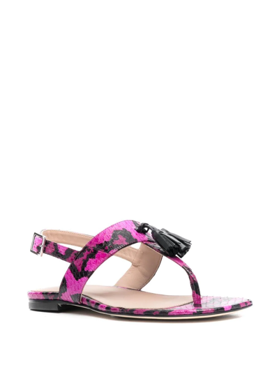 Shop Scarosso Emma Snakeskin-effect Sandals In Pink