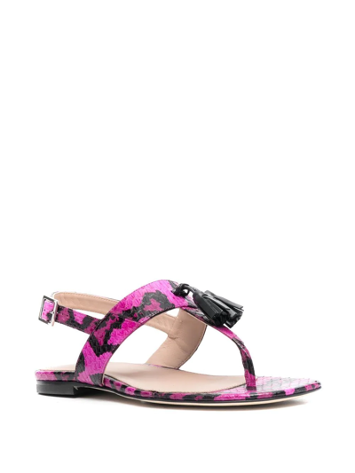 Scarosso Emma Snakeskin-effect Sandals In Pink