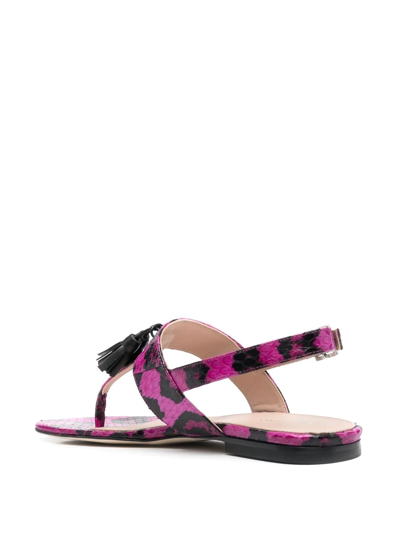 Shop Scarosso Emma Snakeskin-effect Sandals In Pink