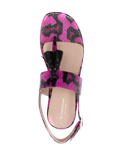 Shop Scarosso Emma Snakeskin-effect Sandals In Pink