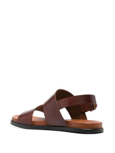 Shop Scarosso Antonio Slingback Leather Sandals In Brown