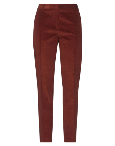 Shop Tonello Woman Pants Rust Size 10 Cotton, Elastane In Red