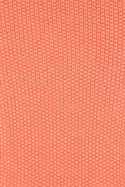 Chloé Flared Maxi Skirt