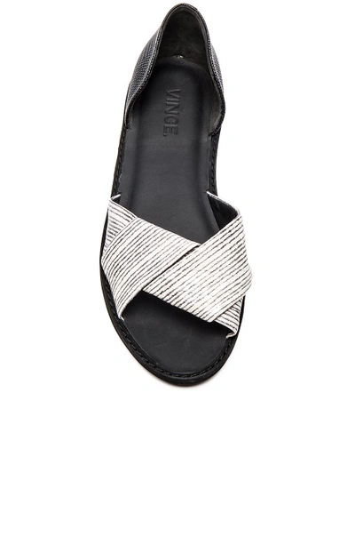 Shop Vince Idara Flat In Black, White & Black