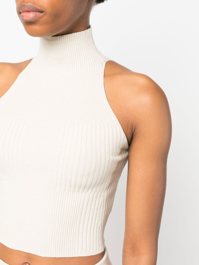 Shop Aeron Ribbed-knit Roll Neck Top In Neutrals