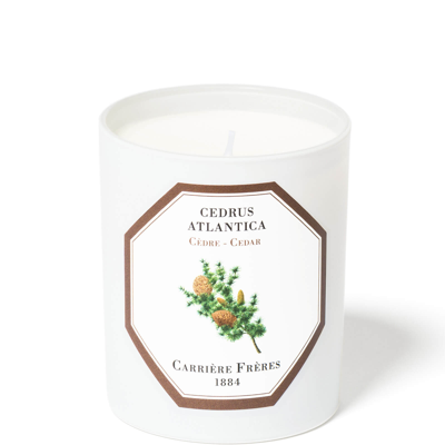 Carriere Freres Carrière Frères Scented Candle Cedar - Cedrus Atlantica - 6.5 oz