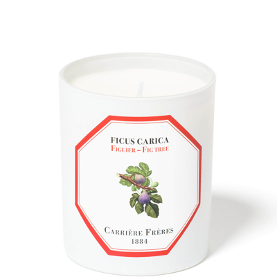 Shop Carriere Freres Carrière Frères Scented Candle Fig Tree - Ficus Carica - 185 G