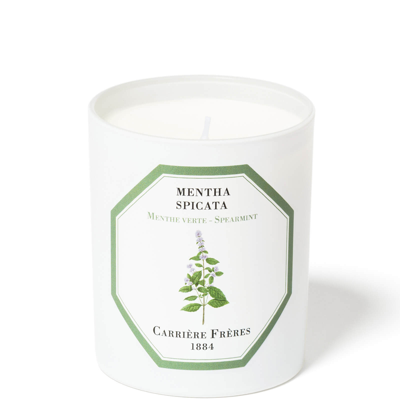 Carriere Freres Carrière Frères Scented Candle Spearmint - Mentha Spicata - 6.5 oz