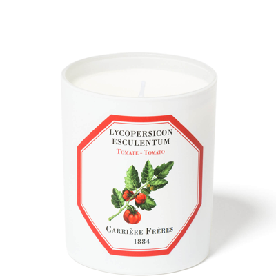 Shop Carriere Freres Carrière Frères Scented Candle Tomato - Lycopersicon Esculentum - 185 G