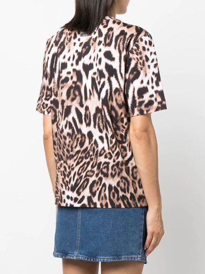 Shop Boutique Moschino Leopard-print T-shirt In Nude