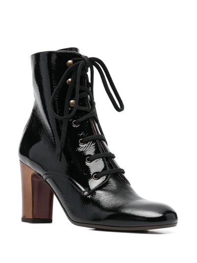 Shop Chie Mihara Walala Lace-up Ankle Boots In Schwarz