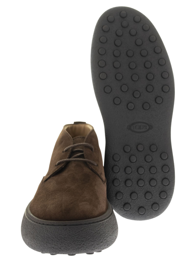 Tod's Brown Suede Desert Boots With Lace-up Closure And Gommini Sole In Brown