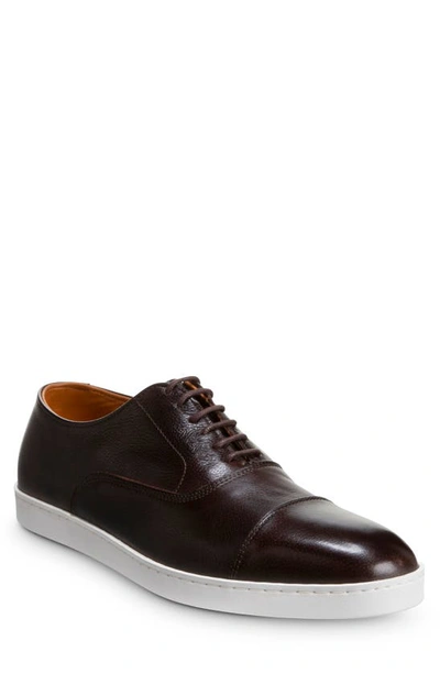 Shop Allen Edmonds Park Sneaker In Dark Brown Grain