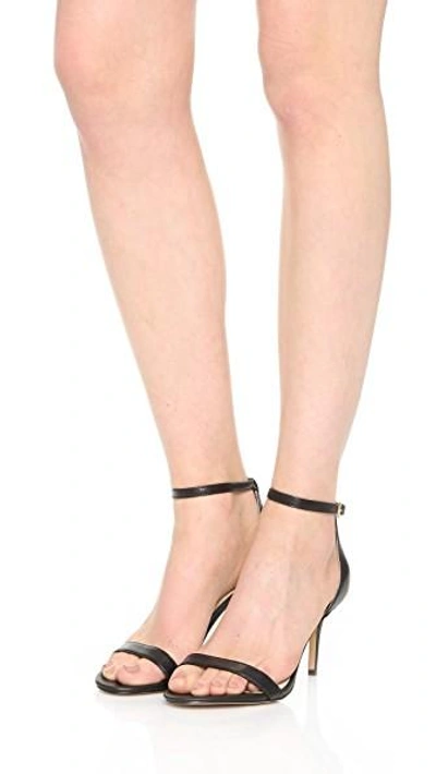 Shop Sam Edelman Patti Sandals In Black