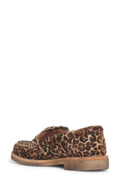 Golden Goose Jerry Genuine Calf Hair Loafer In Beige Brown Leo Calf Hair