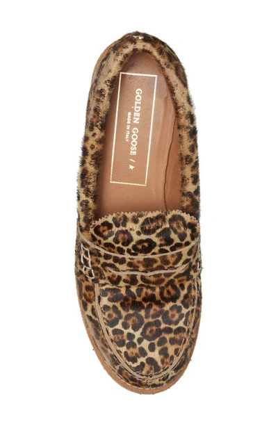 Golden Goose Jerry Genuine Calf Hair Loafer In Beige Brown Leo Calf Hair