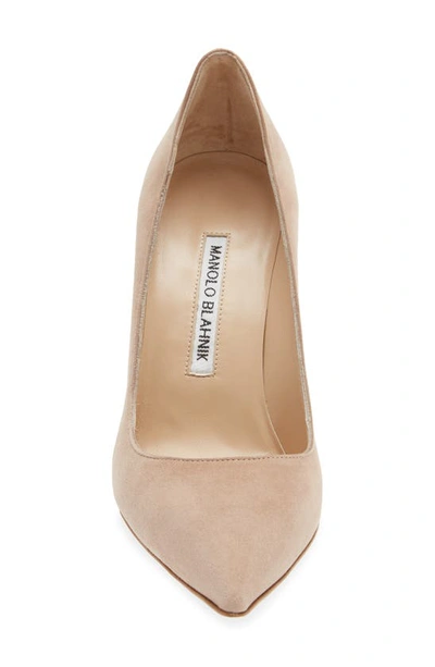 Manolo Blahnik Bb Pointed Toe Pump In Nude Suede