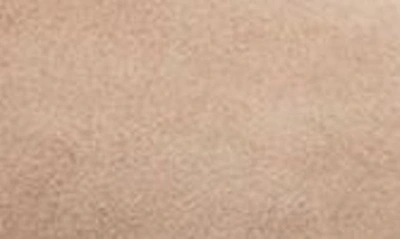 Manolo Blahnik Bb Pointed Toe Pump In Nude Suede