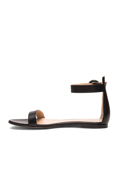 Shop Gianvito Rossi Leather Ankle Strap Sandals In Black