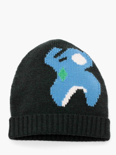 Shop Jw Anderson Intarsia Beanie Hat With Elephant Motif In Green
