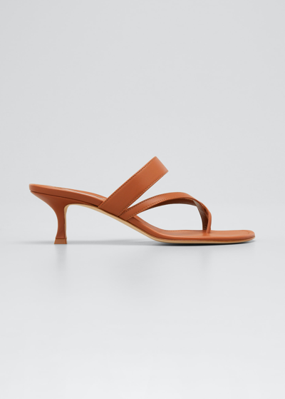 Shop Manolo Blahnik Susa Slide Sandals In Brown
