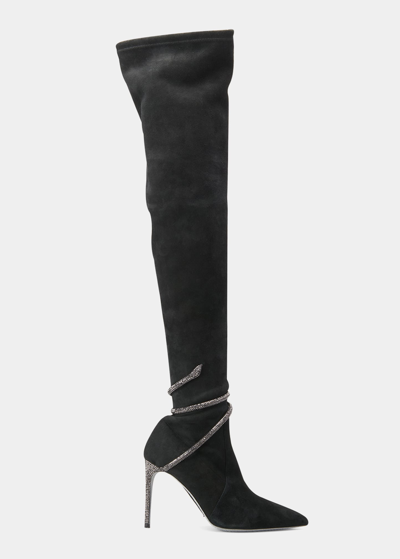 Shop René Caovilla Suede Snake Over-the-knee Boots In Black