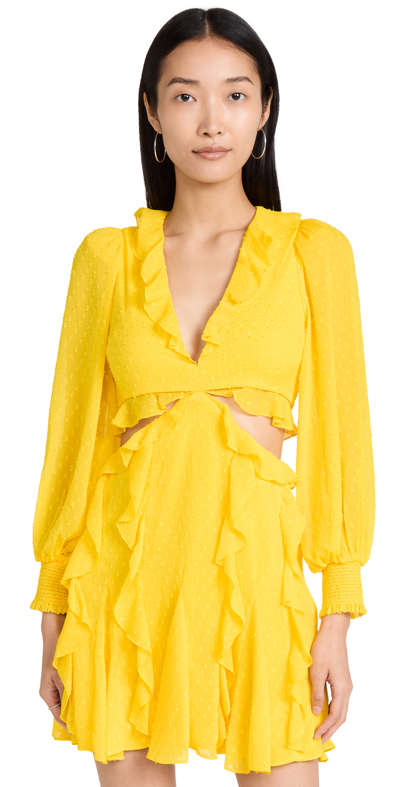 Yellow alice hotsell and olivia dress