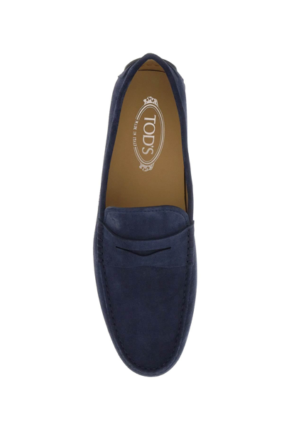 Shop Tod's Suede Leather Gommino Driver Loafers In Blue