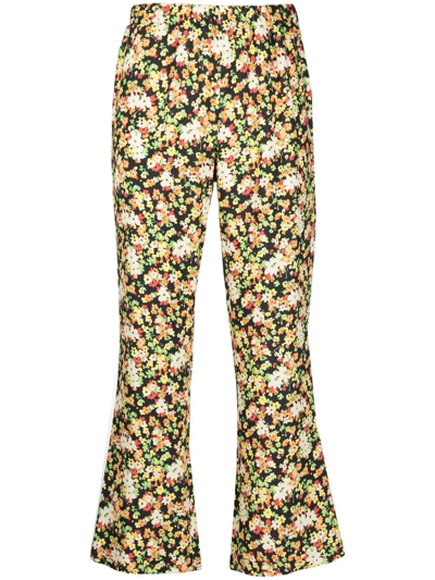 Shop Marni Floral-print Pull-on Trousers In Black