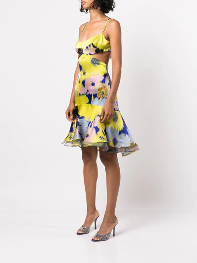 Silvia Tcherassi Analissa Floral-print Cutout Fit-&-flare Dress In Multicolour