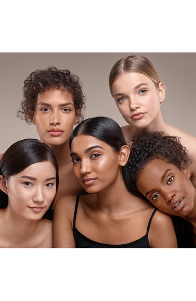 Bobbi Brown Skin Foundation Stick In Neutral Chestnut