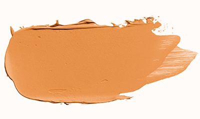 Bobbi Brown Skin Foundation Stick In Golden