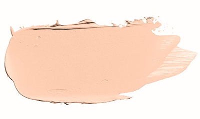 Bobbi Brown Skin Foundation Stick In Warm Porcelain