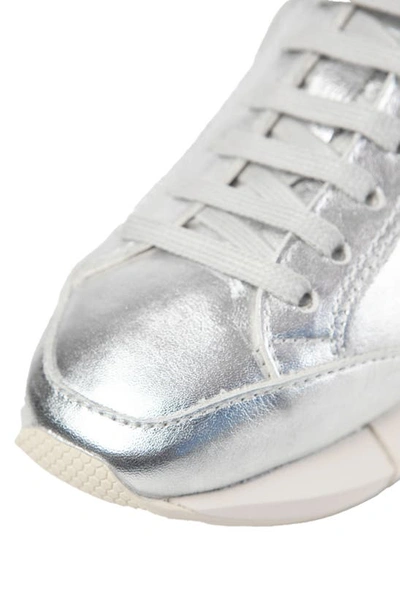 Shop Paloma Barceló Lisieux Sneaker In Silver