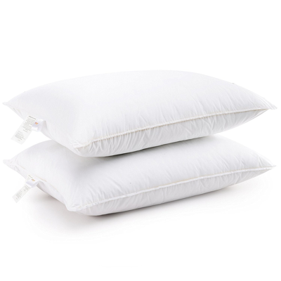 Shop Cheer Collection Luxury Goose Down Alternative Pillows (set Of 2) In White