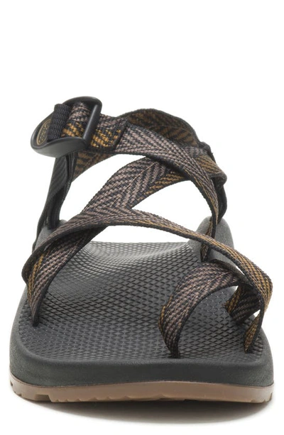 Shop Chaco Z1 Classic Sandal In Bracken Bronze