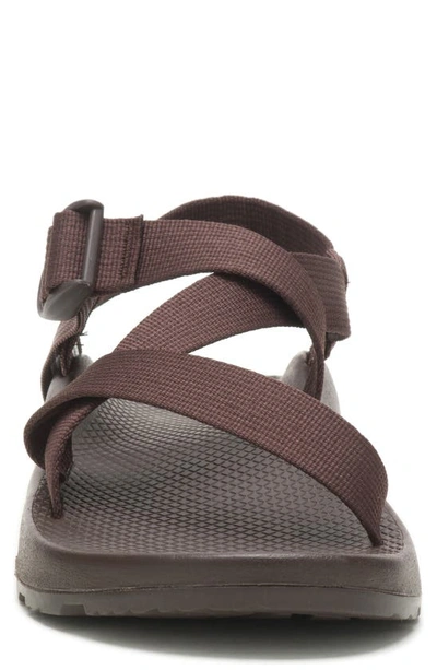 Chaco Z1 Classic Sandal In Java