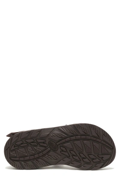 Chaco Z1 Classic Sandal In Java