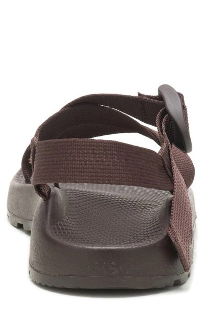 Chaco Z1 Classic Sandal In Java
