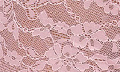 Freya Offbeat Lace Boyshorts In Macaron