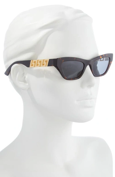 Shop Versace 52mm Cat Eye Sunglasses In Havana