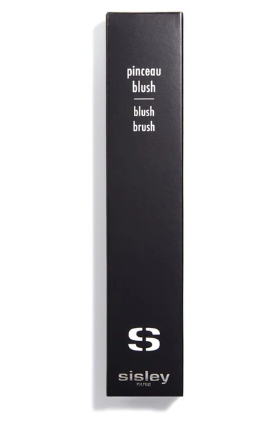 Shop Sisley Paris Blush Brush