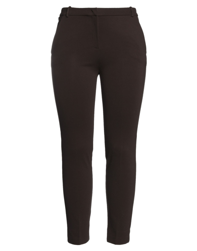 Pinko Pants In Brown