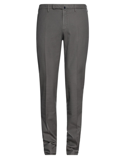 Shop Incotex Man Pants Grey Size 40 Cotton, Elastane