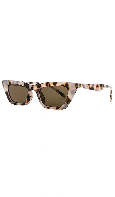Aire Polaris 49mm Cat Eye Sunglasses In Brown